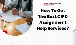 How To Get The Best CIPD Assignment Help Services?