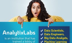 Highly Rated Data Science Courses: What to Expect?