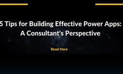 5 Tips for Building Effective Power Apps: A Consultant's Perspective