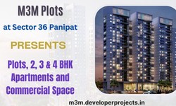 M3M Plots In Sector 36 Panipat | The Luxury That Becomes a Necessity