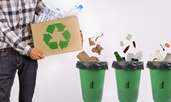 The Vital Role of Waste Management in Proper Waste Disposal
