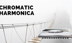 Which Key of Diatonic Harmonica Should I Buy?