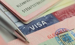 BNO Visa: A New Pathway to UK Immigration - What You Need to Know