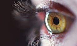 Is Kratom Safe for People with Dry Eye Syndrome and Vision Issues?