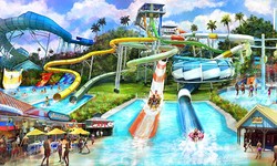 A Guide to the Best Amusement Water Parks in California