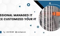 Why You Need a Professional Managed IT Service to Customize Your IT Needs