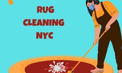 The Dos and Don’ts of Maintaining Your Rug in Between Cleanings in NYC