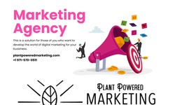 Best Features of Plant Power Marketing Agency