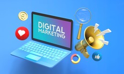 Skilled Digital Marketing Company in Panchkula