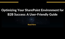 Optimizing Your SharePoint Environment for B2B Success: A User-Friendly Guide