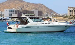 Celebrate Your Next Event With Private Yacht Tours In Cabo