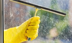 A Complete Guide to Professional Cleaning Services: Everything You Need to Know