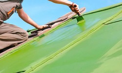 The Surprising Benefits of Regularly Painting Your Home's Roof