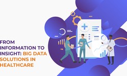 From Information to Insight: Big Data Solutions in Healthcare