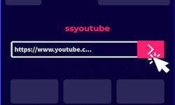 A Step-by-Step Guide to Downloading Videos from YouTube.com