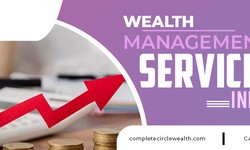 Wealth Management Services in India: Everything You Need to Know