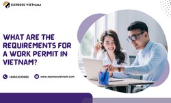 What Are the Requirements For a Work Permit in Vietnam?
