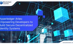Hyperledger Aries: Empowering Developers to Build Secure Decentralized Identity Systems