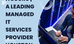 Why ITsGuru is Houston's Leading Managed IT Services Provider