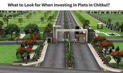 What to Look for When Investing in Plots in Chitkul?