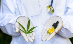 Common FAQs about Florida Medical Marijuana Card Answered