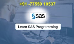 SAS Training Online in India | Time Series in SAS