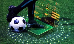 Reputation Management in Sports: Targeting the Football Niche