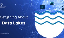What a data lake and its benefits