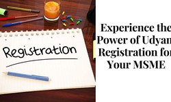 Experience the Power of Udyam Registration for Your MSME