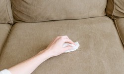 What Causes Sofa Stains And How To Prevent Them In Lane Cove?