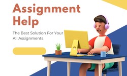 The Power of Assignment Helpers: Your Path to Academic Success in New Plymouth