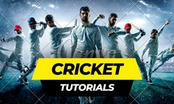 Importance of cricket