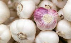 Garlic or Poison? The Shocking Reality of Chinese Garlic Production