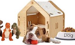 Pet House: An Ultimate Guide to Building the Perfect Shelter for Your Furry Friend