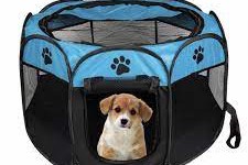 Folding Pet House: A Practical Solution for Pet Owners