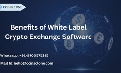 Unlocking the Advantages: Exploring the Benefits of White Label Crypto Exchange Software