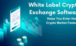 How White Label Crypto Exchange Software Helps You Enter the Crypto Market Faster