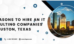 10 Reasons to Hire an IT Consulting Companies in Houston Texas