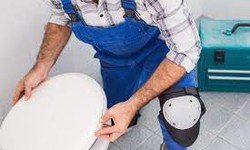 DIY VS Hiring A Professional For Toilet Installation