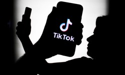 TikTok Stardom: How Ordinary Users Became Overnight Sensations