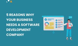 5 Reasons Why Your Business Needs a Software Development Company