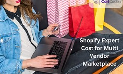 Shopify Expert Cost for Multi Vendor Marketplace