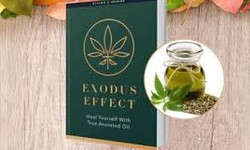 Exodus Effect Reviews 2023: Holy Anointing Oil Benefits Reddit