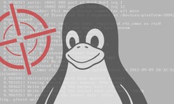 Linux IPv6 "Route of Death" 0day Vulnerability in the Kernel