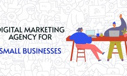 Digital Marketing Agency for Small Businesses & Startups