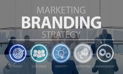 8 Reasons You Need a Solid Branding Strategy