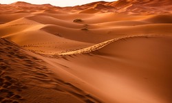 Unveiling the Mystique of Desert Safari in Dubai: An Unforgettable Adventure