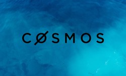 Cosmos Node Performance Metrics: Monitoring and Optimizing Node Efficiency