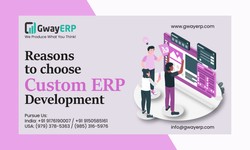 8 Reasons To Choose Custom ERP Development