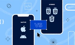 Native vs Hybrid App: Best Choice for Mobile App Development